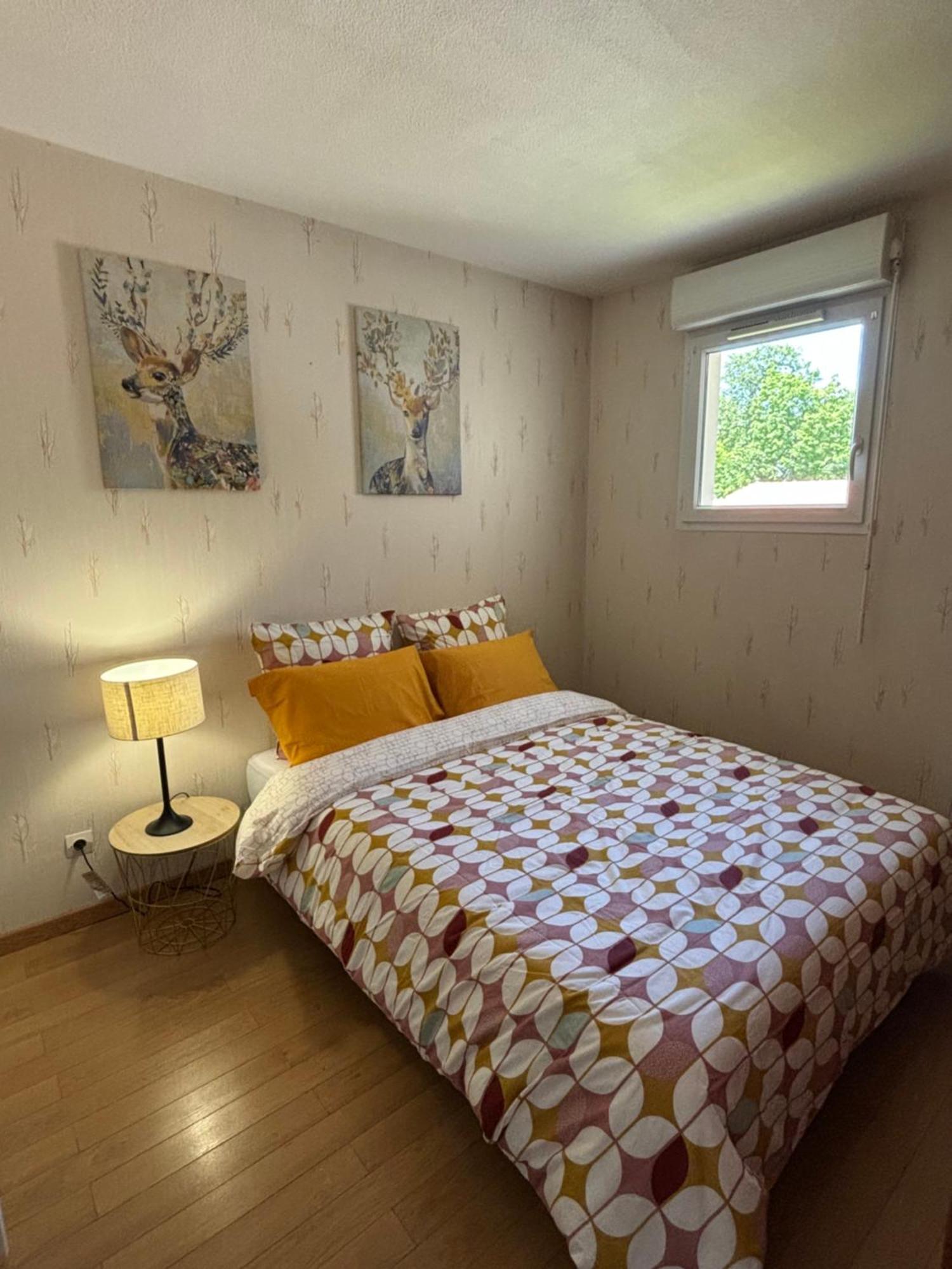 Charme & Confort T2 Lumineux Entre Paris And Apartment